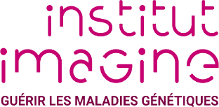 Institut Imagine